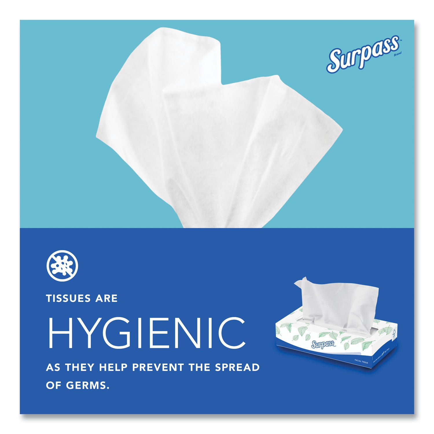 Surpass Facial Tissue for Business, 2-Ply, White, Flat Box, 100 Sheets/Box, 30 Boxes/Carton (21340)