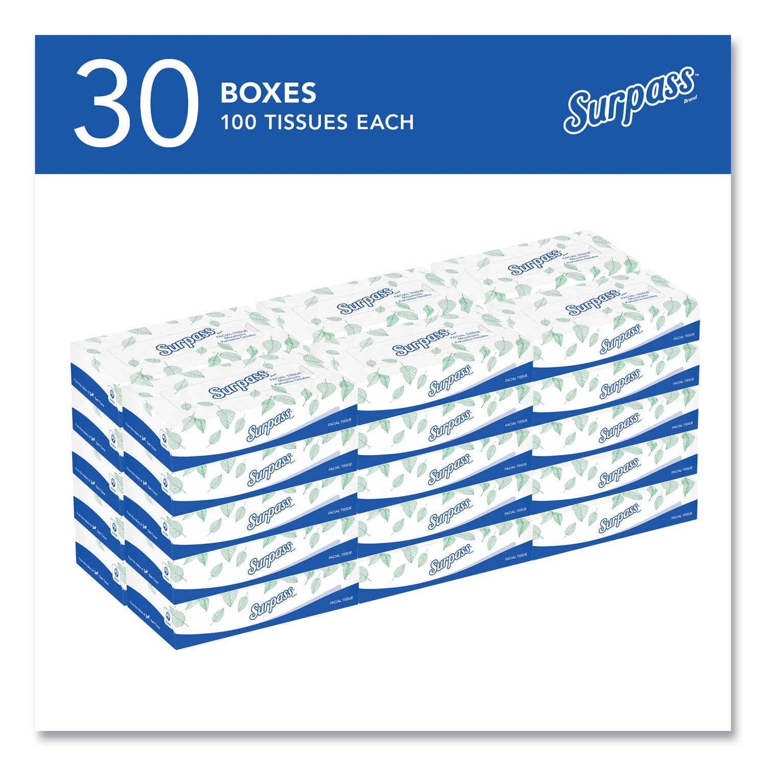 Surpass Facial Tissue for Business, 2-Ply, White, Flat Box, 100 Sheets/Box, 30 Boxes/Carton (21340)