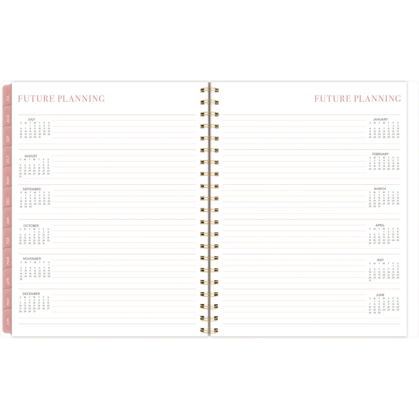 Cambridge Leah Bisch Academic Year Weekly/Monthly Planner, Floral Artwork, 11" x 9.25", Multicolor Cover, 12-Month: July 2024-June 2025 (LB33905A)