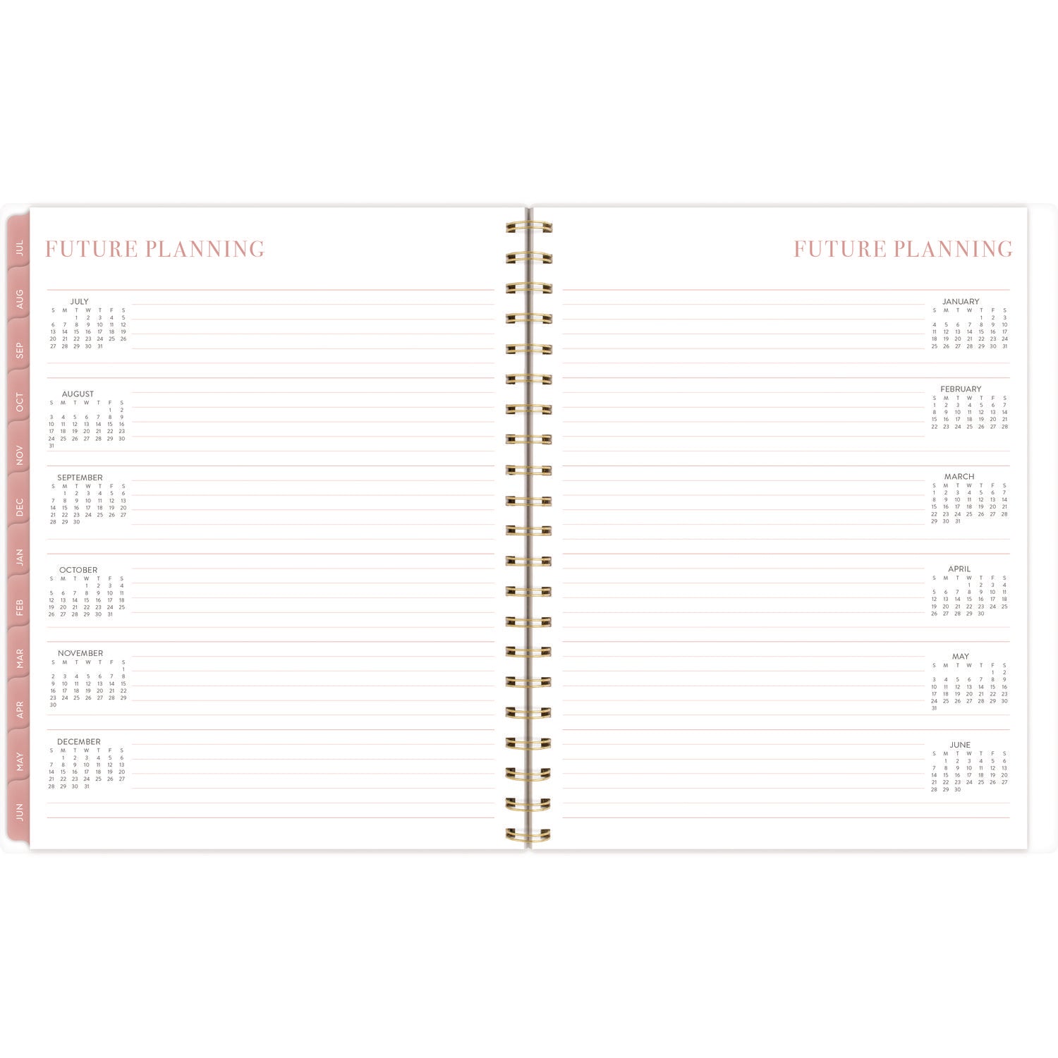 Cambridge Leah Bisch Academic Year Weekly/Monthly Planner, Floral Artwork, 11" x 9.25", Multicolor Cover, 12-Month: July 2024-June 2025 (LB33905A)