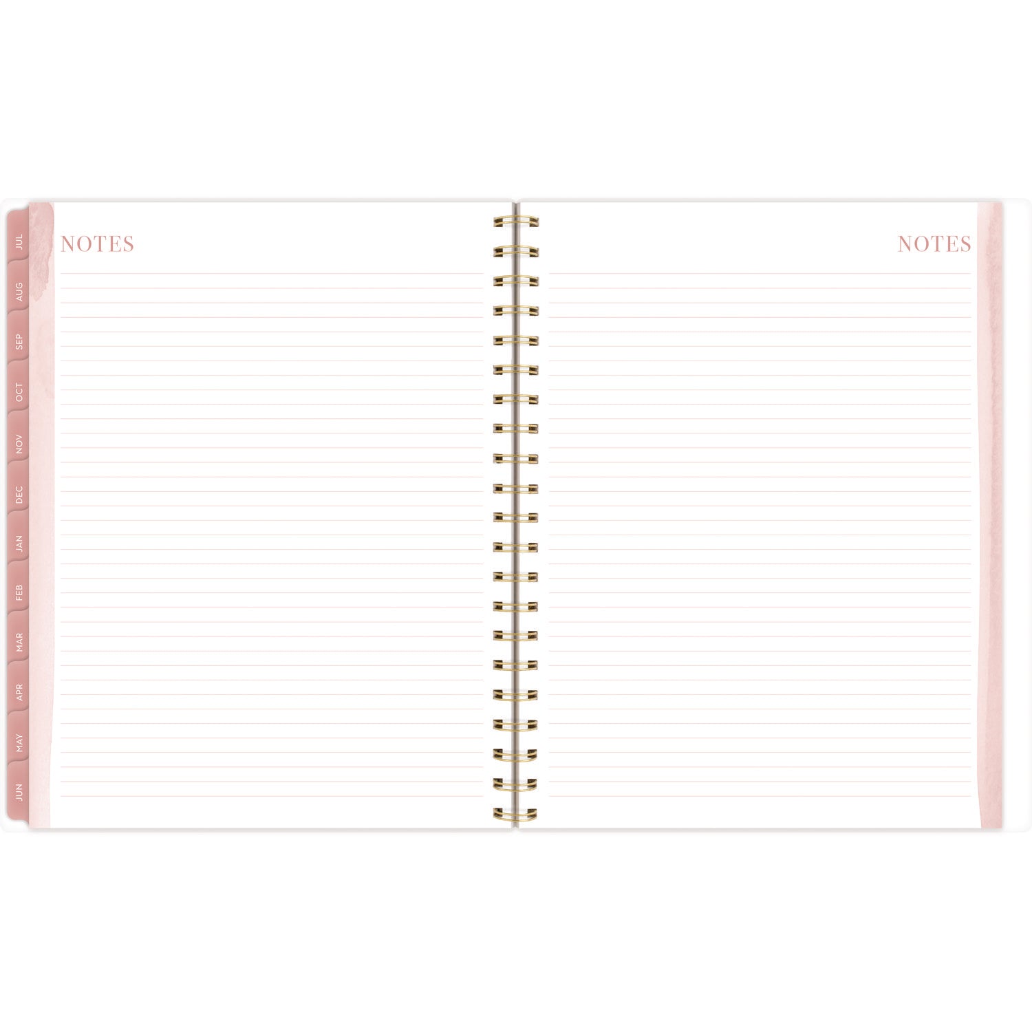 Cambridge Leah Bisch Academic Year Weekly/Monthly Planner, Floral Artwork, 11" x 9.25", Multicolor Cover, 12-Month: July 2024-June 2025 (LB33905A)