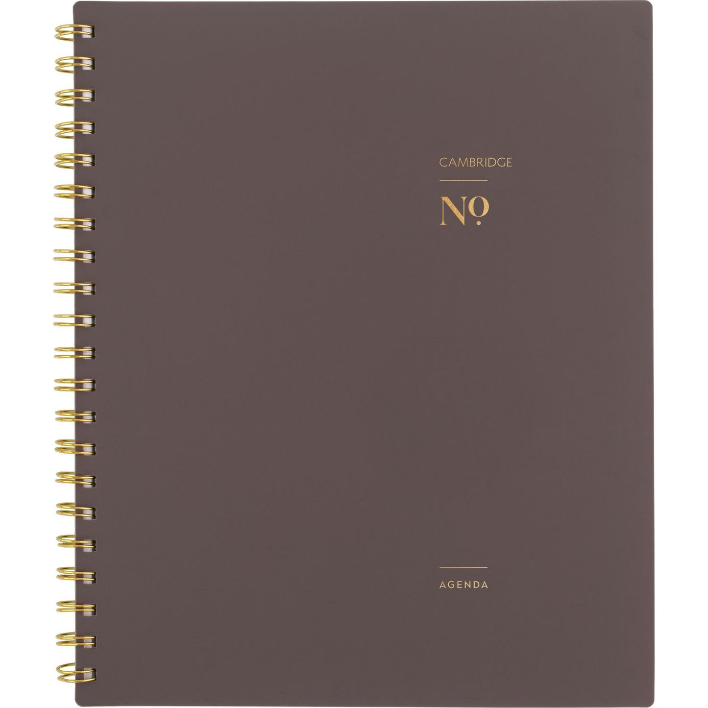 Cambridge Workstyle Weekly/Monthly Planner, 11 x 9.38, Brown/Gold Cover, 12-Month (Jan to Dec): 2025 (160690504)