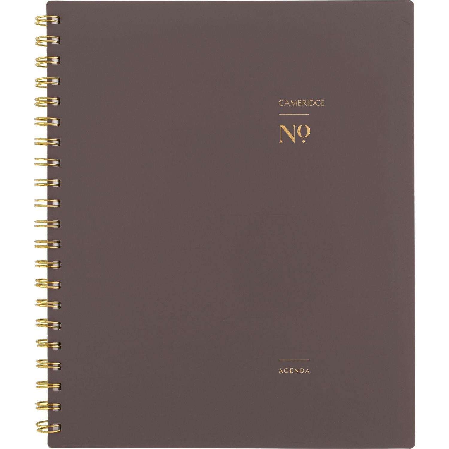 Cambridge Workstyle Weekly/Monthly Planner, 11 x 9.38, Brown/Gold Cover, 12-Month (Jan to Dec): 2025 (160690504)