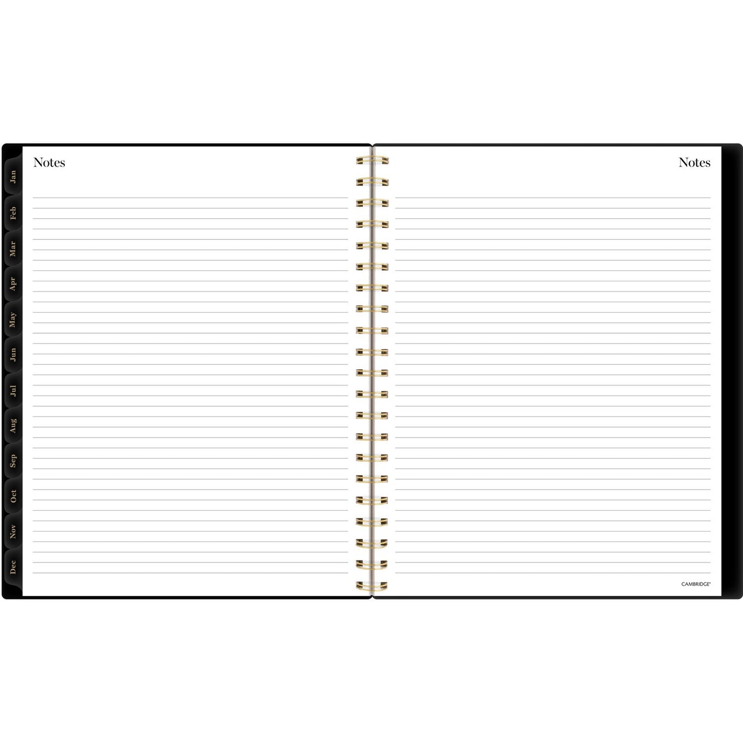 Cambridge Radiate Weekly/Monthly Planner, Stylized Solar-Eclipse Artwork, 11 x 9.25, Black/Gold Cover, 12-Month (Jan to Dec): 2025 (1725905)