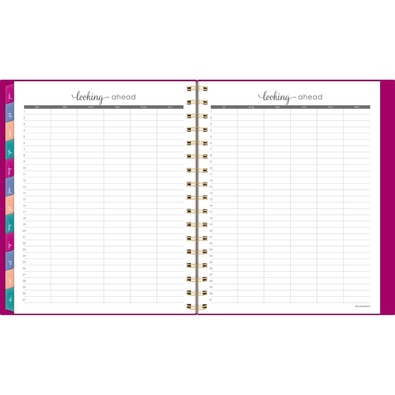 AT-A-GLANCE Harmony Weekly/Monthly Poly Planner, 8.88 x 7.69, Purple/Gold Cover, 13-Month (Jan to Jan): 2025 to 2026 (109980556)