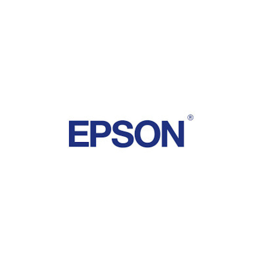 Epson S020405 Ink Cartridges