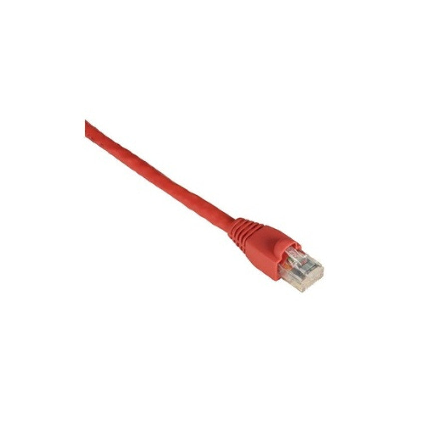 Black Box Cat6 550-mhz Snagless Stranded Ethernet Patch Cable - Unshielded (utp), Cm Pvc (rj45 M/m), Red, 1-ft. (0.3-m) (EVNSL6430001)