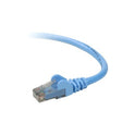 Belkin Cable,cat6,utp,rj45m/m,7,blu (TAA98007BLUS)