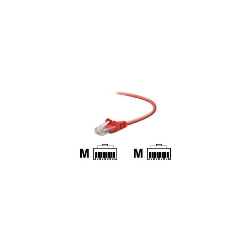 Belkin Cat Cbl Rj45m/rj45m 25red (A3L791B25REDS)