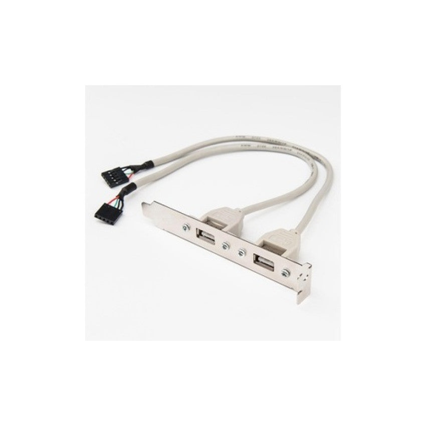 Rocstor 8in 2 Port Usb A Female Low Profile Slot (Y10A213GY1)